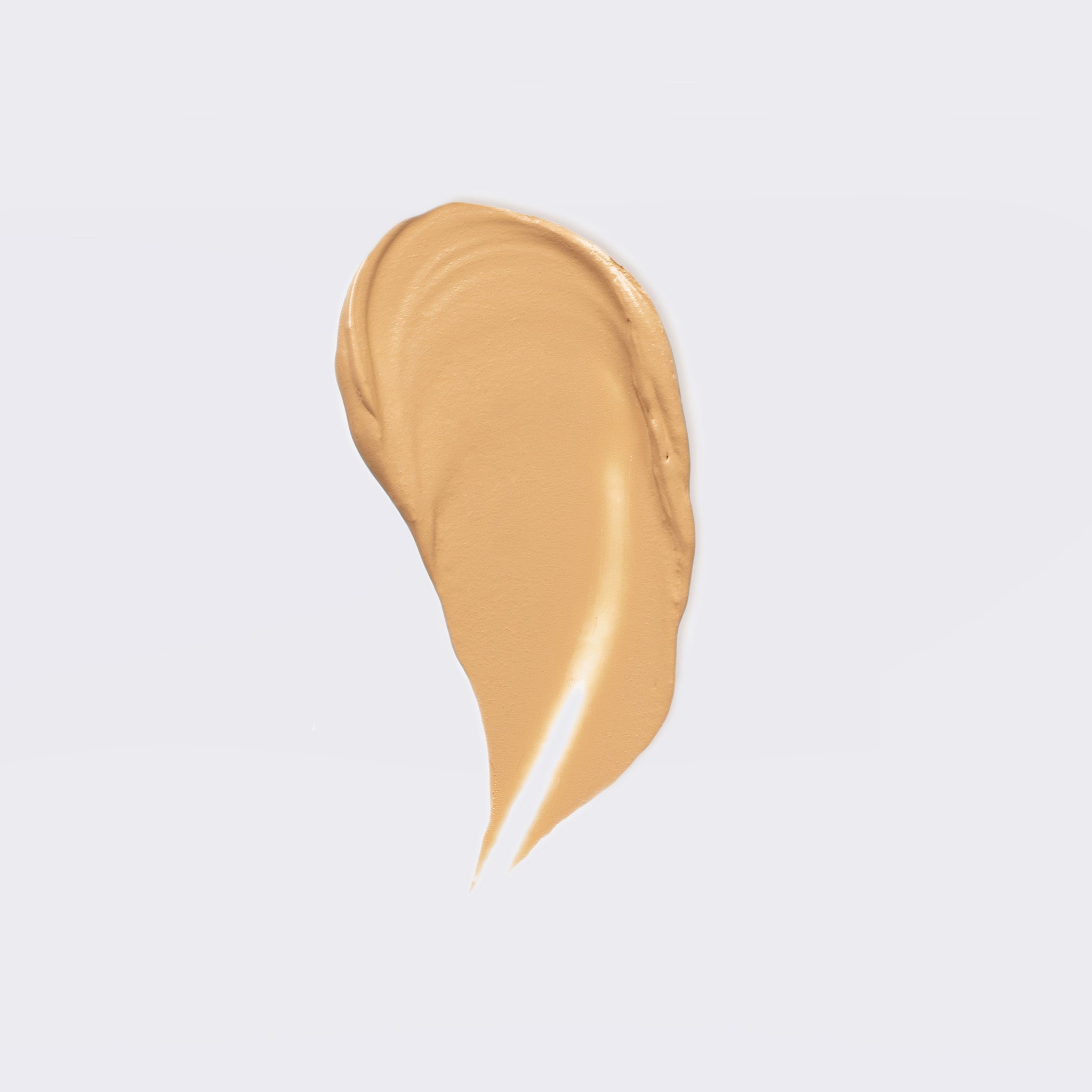 Day to Night Foundation